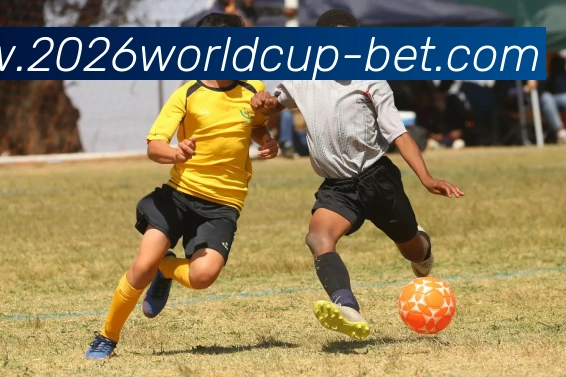 2026世界杯投注平台生态图