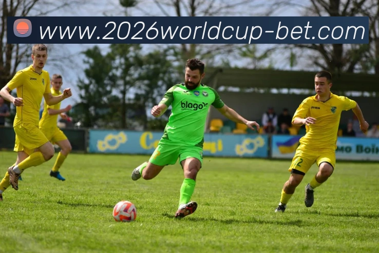 2026世界杯投注APP 封面图